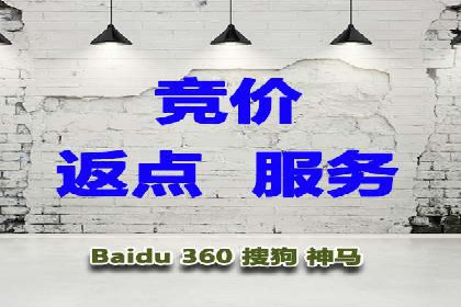 SEM服务公司成功案例解读